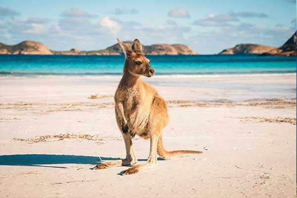Visit Australia